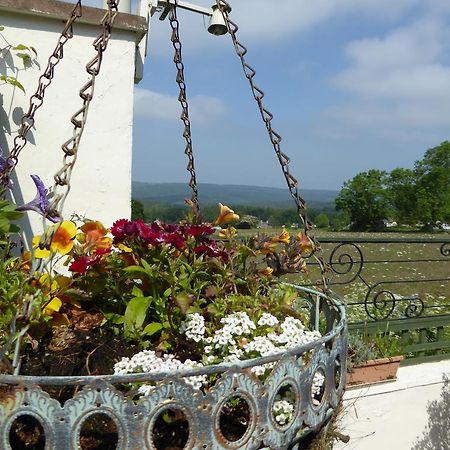 Dean Valley Panorama Bed & Breakfast ลิดนีย์ ภายนอก รูปภาพ